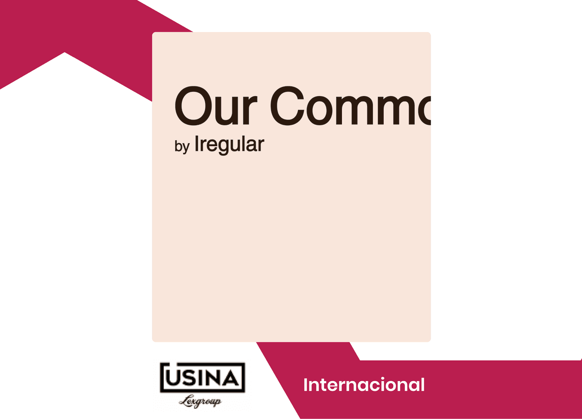 Tapa del pdf del proyecto Iregular